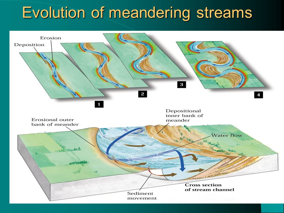 Evolution of meandering streams