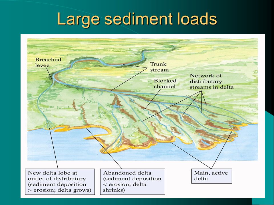 Large sediment loads