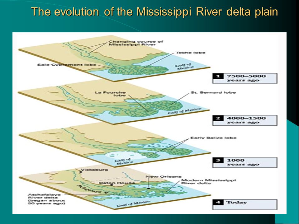 The evolution of the Mississippi River delta plain