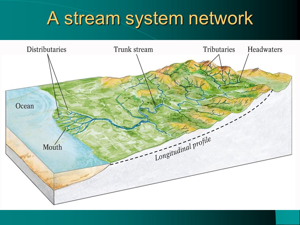 A stream system network