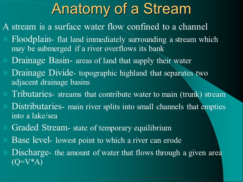 Anatomy of a Stream A stream is a surface water flow confined to a channel Floodplain - flat land immediately surrounding a stream which may be submerged if a river overflows its bank Drainage Basin- areas of land that supply their water Drainage Divide - topographic highland that separates two adjacent drainage basins Tributaries - streams that contribute water to main (trunk) stream Distributaries - main river splits into small channels that empties into a lake/sea Graded Stream - state of temporary equilibrium Base level - lowest point to which a river can erode Discharge - the amount of water that flows through a given area (Q=V*A)