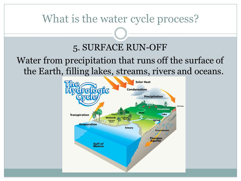 What is the water cycle process. 5.