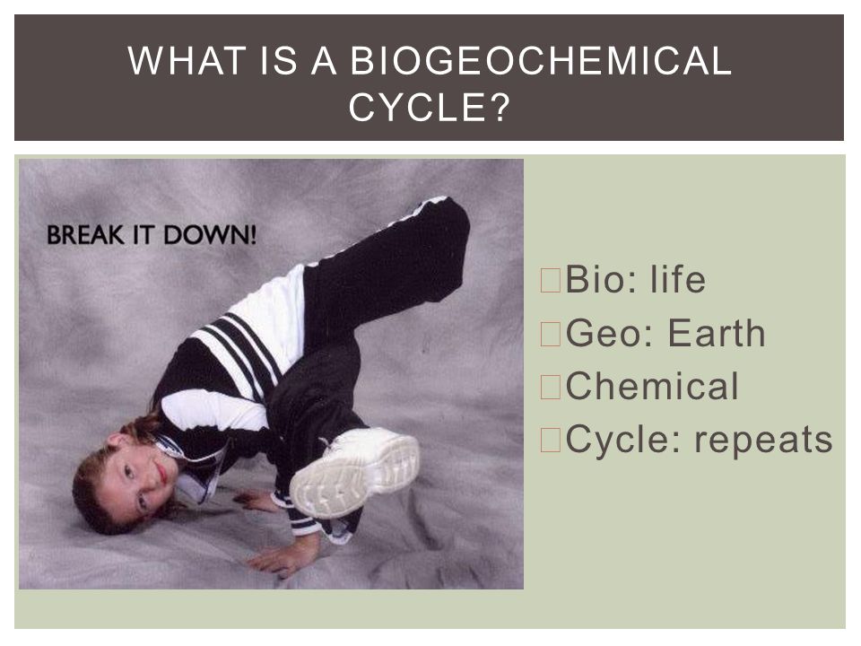 Bio: life Geo: Earth Chemical Cycle: repeats WHAT IS A BIOGEOCHEMICAL CYCLE