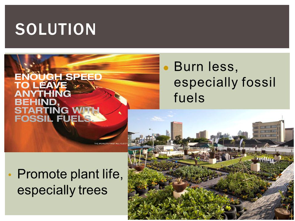 ● Burn less, especially fossil fuels SOLUTION Promote plant life, especially trees