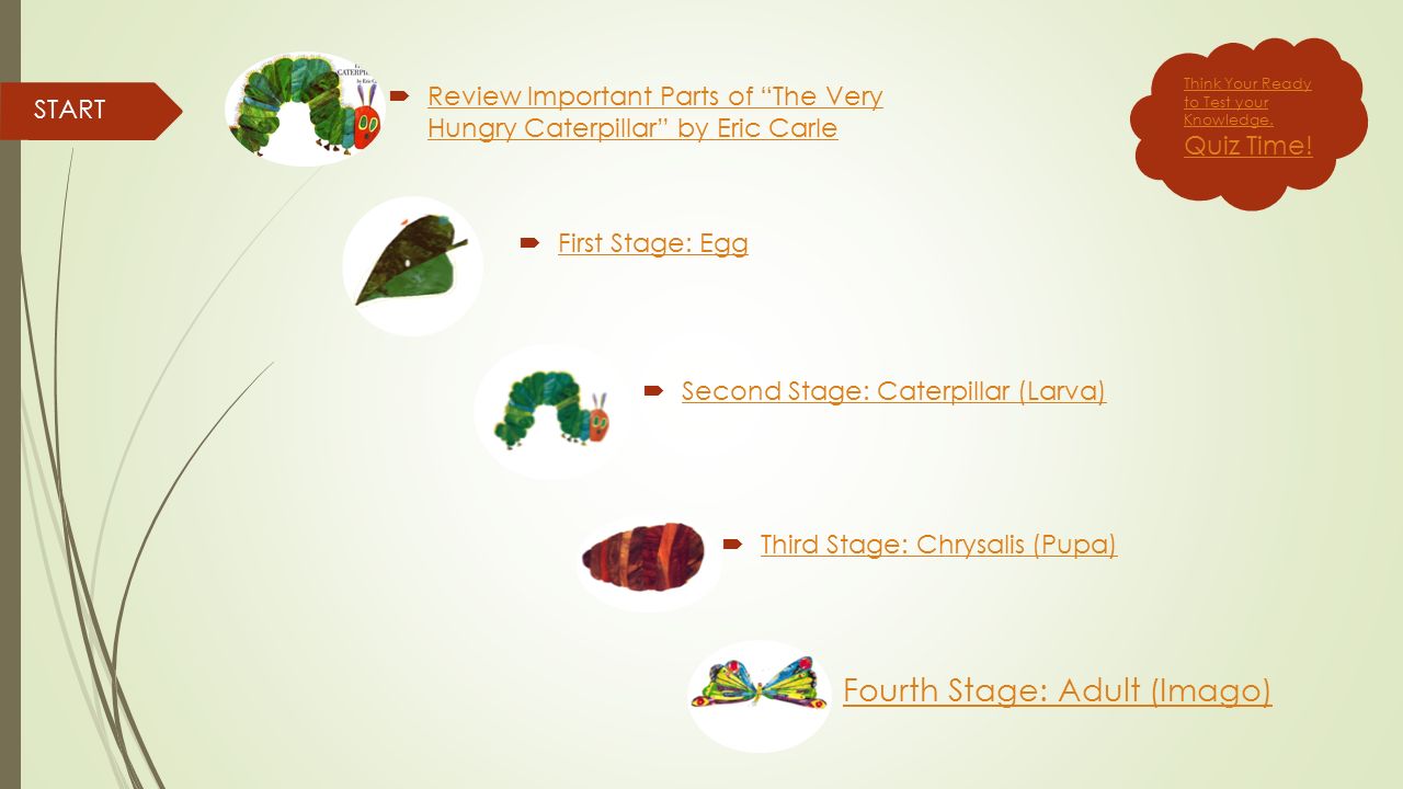 The Butterfly Life Cycle An Interactive Lesson Get Started!