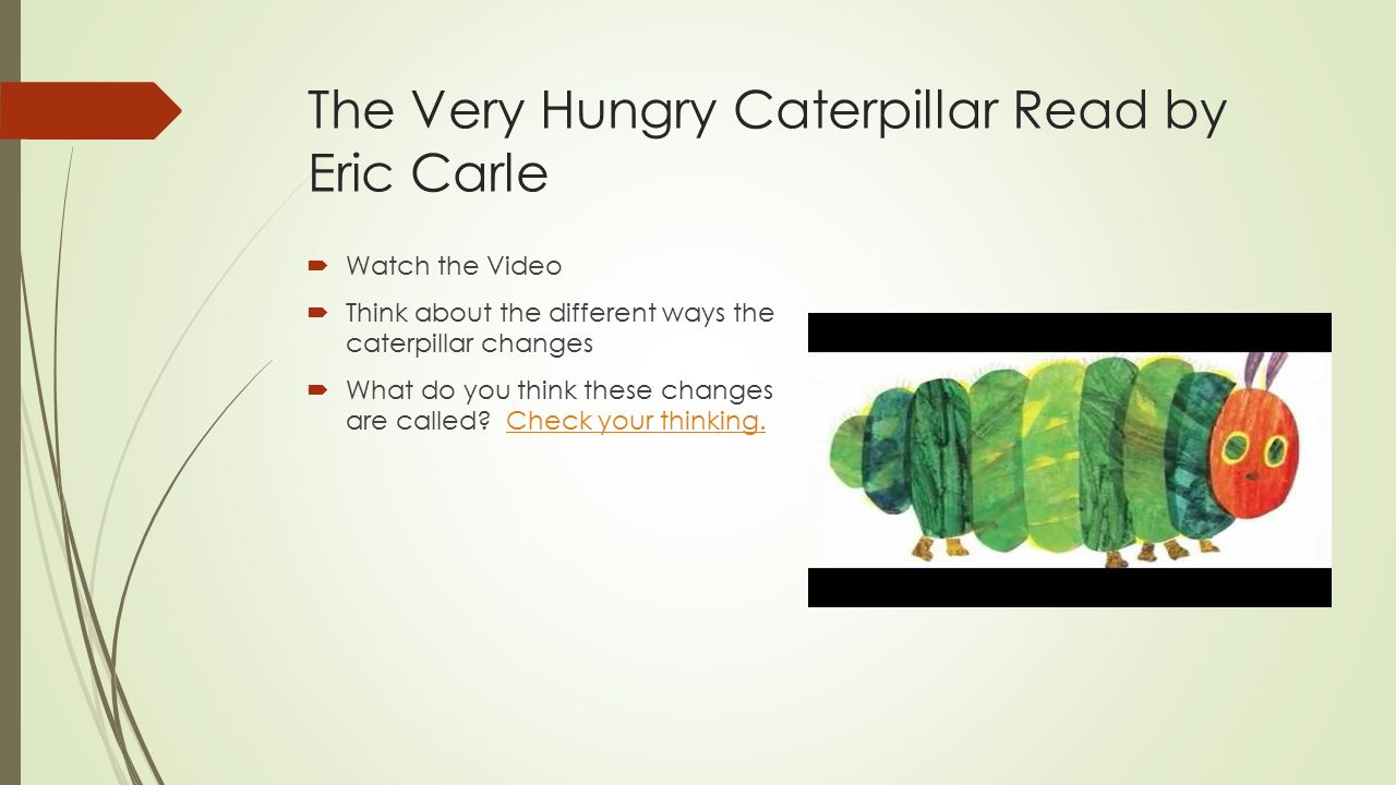  First Stage: Egg First Stage: Egg  Second Stage: Caterpillar (Larva) Second Stage: Caterpillar (Larva)  Third Stage: Chrysalis (Pupa) Third Stage: Chrysalis (Pupa)  Review Important Parts of The Very Hungry Caterpillar by Eric Carle Review Important Parts of The Very Hungry Caterpillar by Eric Carle Fourth Stage: Adult (Imago) START Think Your Ready to Test your Knowledge.
