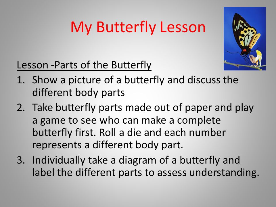 My Butterfly Lesson Lesson -Parts of the Butterfly 1.Show a picture of a butterfly and discuss the different body parts 2.Take butterfly parts made out of paper and play a game to see who can make a complete butterfly first.