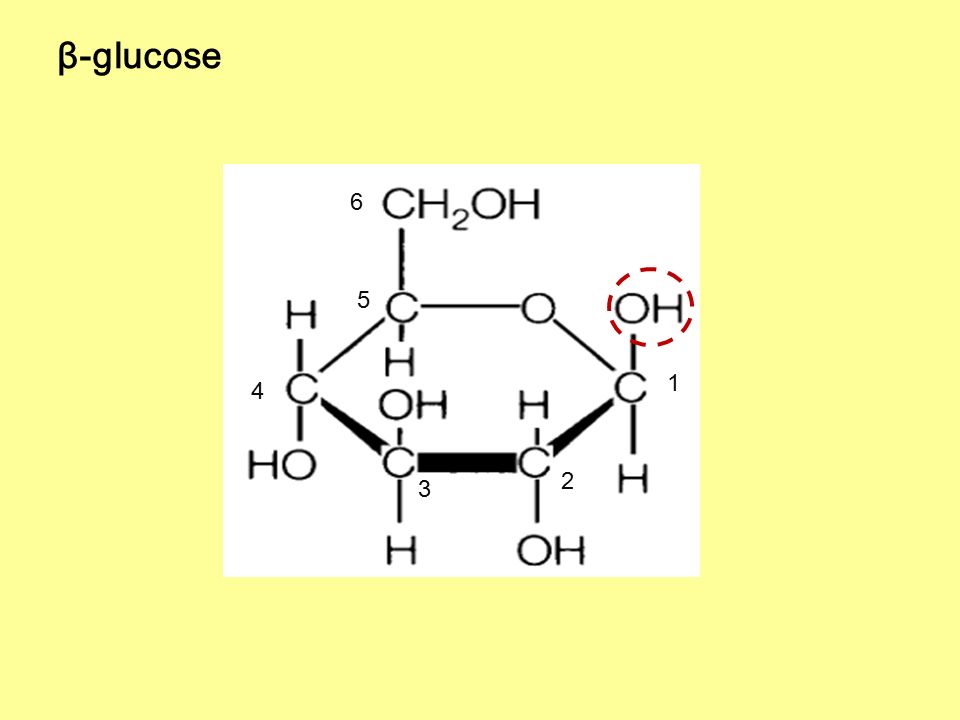 2 : Carbohydrates n molecular C 2n ... formula: General 1 H O n