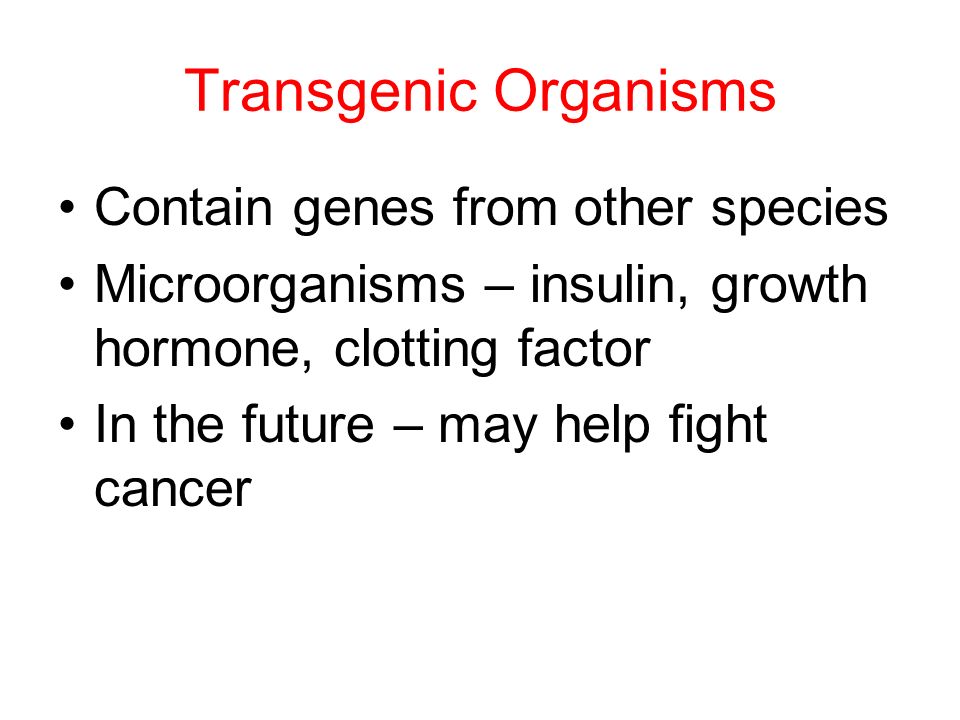 Transgenic Organisms Contain genes from other species Microorganisms – insulin, growth hormone, clotting factor In the future – may help fight cancer