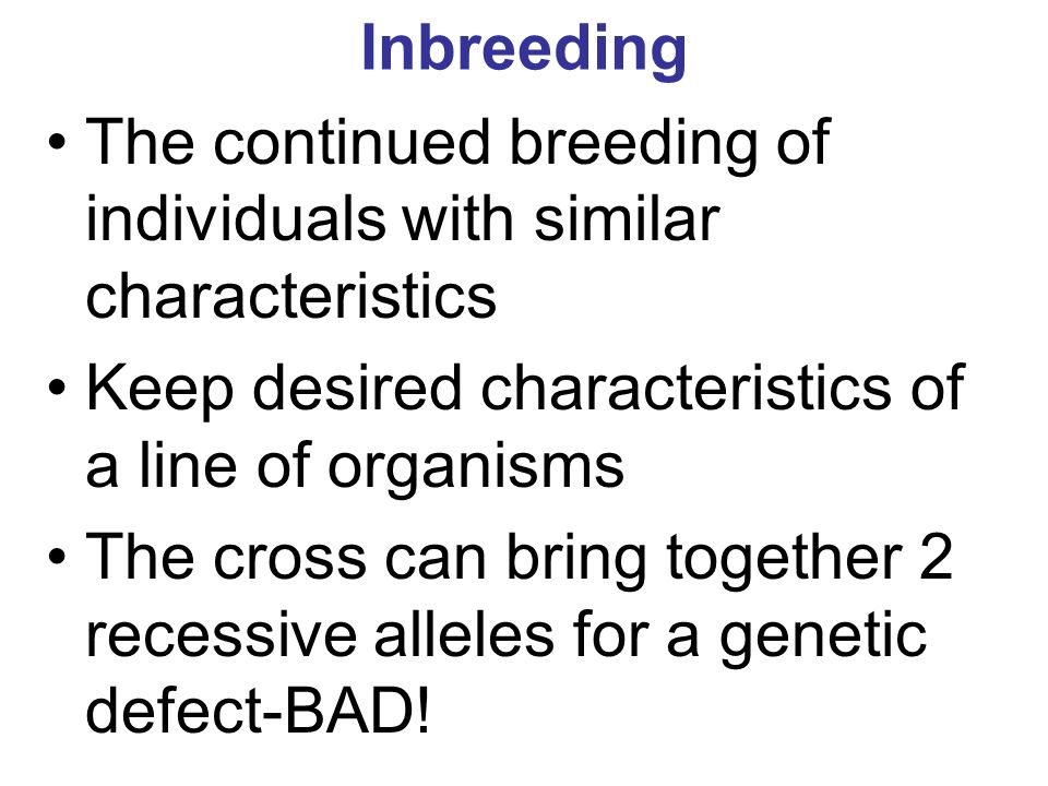 Inbreeding The continued breeding of individuals with similar characteristics Keep desired characteristics of a line of organisms The cross can bring together 2 recessive alleles for a genetic defect-BAD!