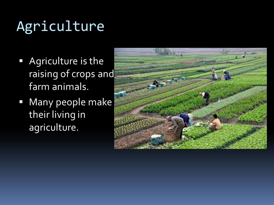 Agriculture  Agriculture is the raising of crops and farm animals.