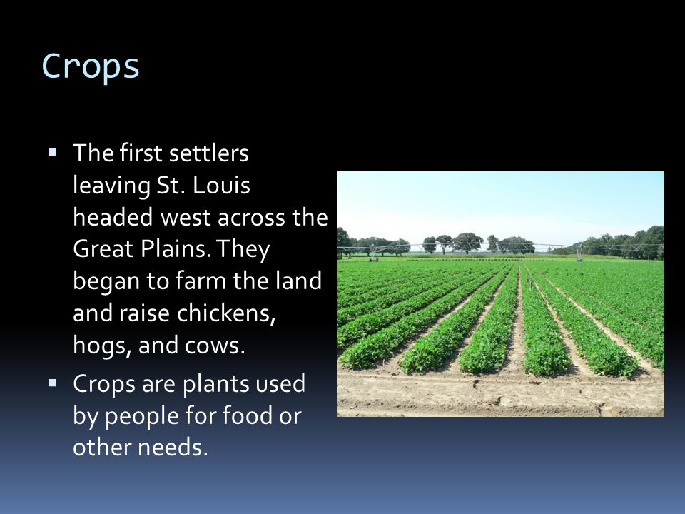 Crops  The first settlers leaving St. Louis headed west across the Great Plains.