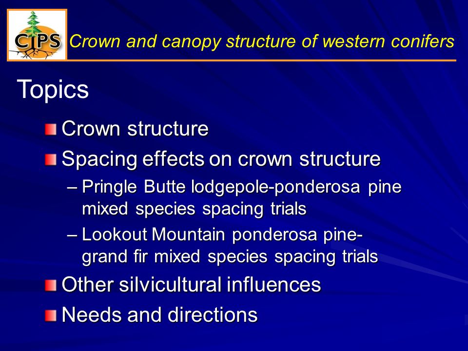 Topics Crown and canopy structure of western conifers Crown structure Spacing effects on crown structure –Pringle Butte lodgepole-ponderosa pine mixed species spacing trials –Lookout Mountain ponderosa pine- grand fir mixed species spacing trials Other silvicultural influences Needs and directions