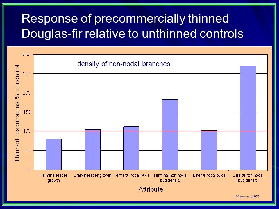 density of non-nodal branches Maguire 1983 Response of precommercially thinned Douglas-fir relative to unthinned controls