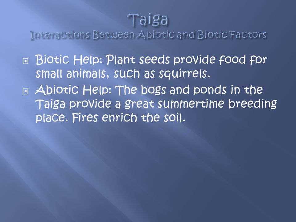 Biotic Help: Plant seeds provide food for small animals, such as squirrels.