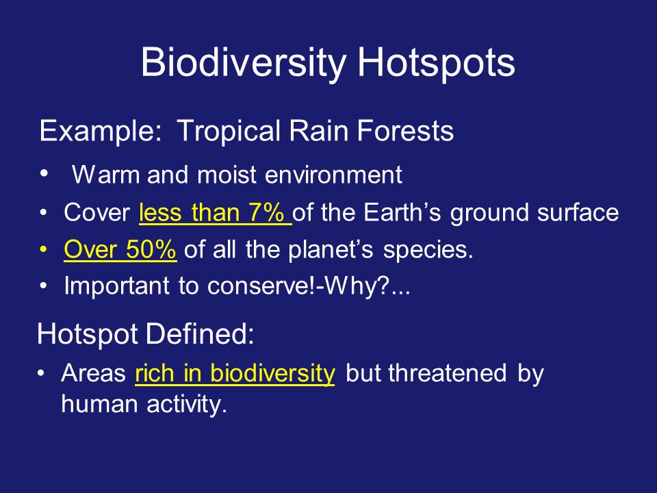 Biodiversity Hotspots Example: Tropical Rain Forests Warm and moist environment Cover less than 7% of the Earth’s ground surface Over 50% of all the planet’s species.