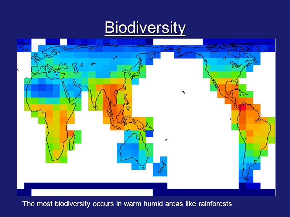 Biodiversity The most biodiversity occurs in warm humid areas like rainforests.