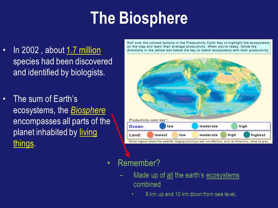 The Biosphere In 2002, about 1.7 million species had been discovered and identified by biologists.