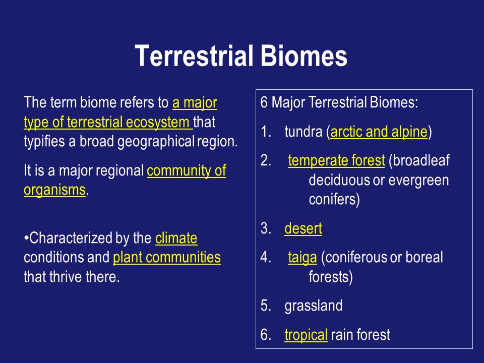 Terrestrial Biomes The term biome refers to a major type of terrestrial ecosystem that typifies a broad geographical region.