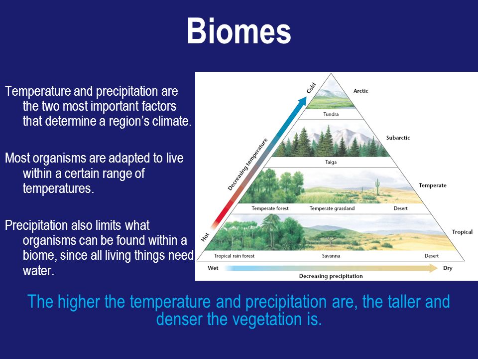 Biomes Temperature and precipitation are the two most important factors that determine a region’s climate.