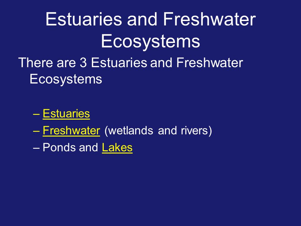Estuaries and Freshwater Ecosystems There are 3 Estuaries and Freshwater Ecosystems –Estuaries –Freshwater (wetlands and rivers) –Ponds and Lakes