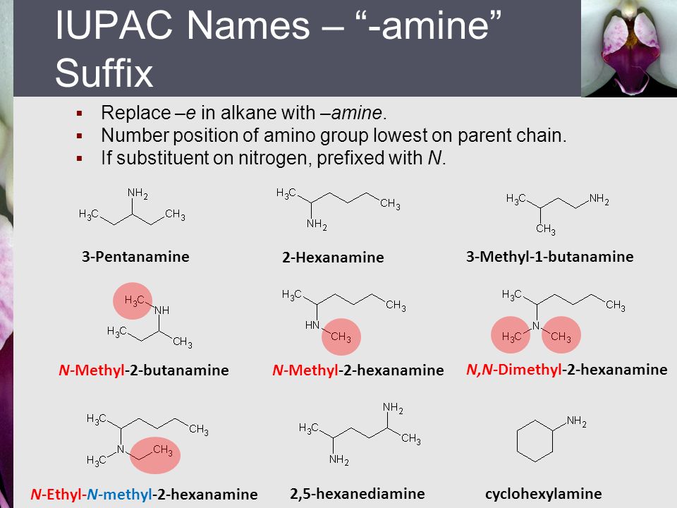 John E Mcmurry Paul D Adams University Of Arkansas Lecture 02 Drawing Structures Functional Groups Nomenclature Ppt Download John E Mcmurry Paul D Adams University Of Arkansas Lecture 02 Drawing Structures Functional Groups Nomenclature Ppt Download