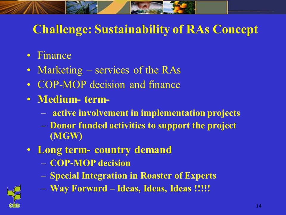14 Challenge: Sustainability of RAs Concept Finance Marketing – services of the RAs COP-MOP decision and finance Medium- term- – active involvement in implementation projects –Donor funded activities to support the project (MGW) Long term- country demand –COP-MOP decision –Special Integration in Roaster of Experts –Way Forward – Ideas, Ideas, Ideas !!!!!