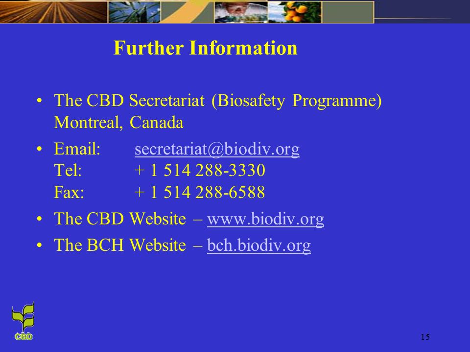 15 Further Information The CBD Secretariat (Biosafety Programme) Montreal, Canada   Tel: Fax: The CBD Website –   The BCH Website – bch.biodiv.orgbch.biodiv.org