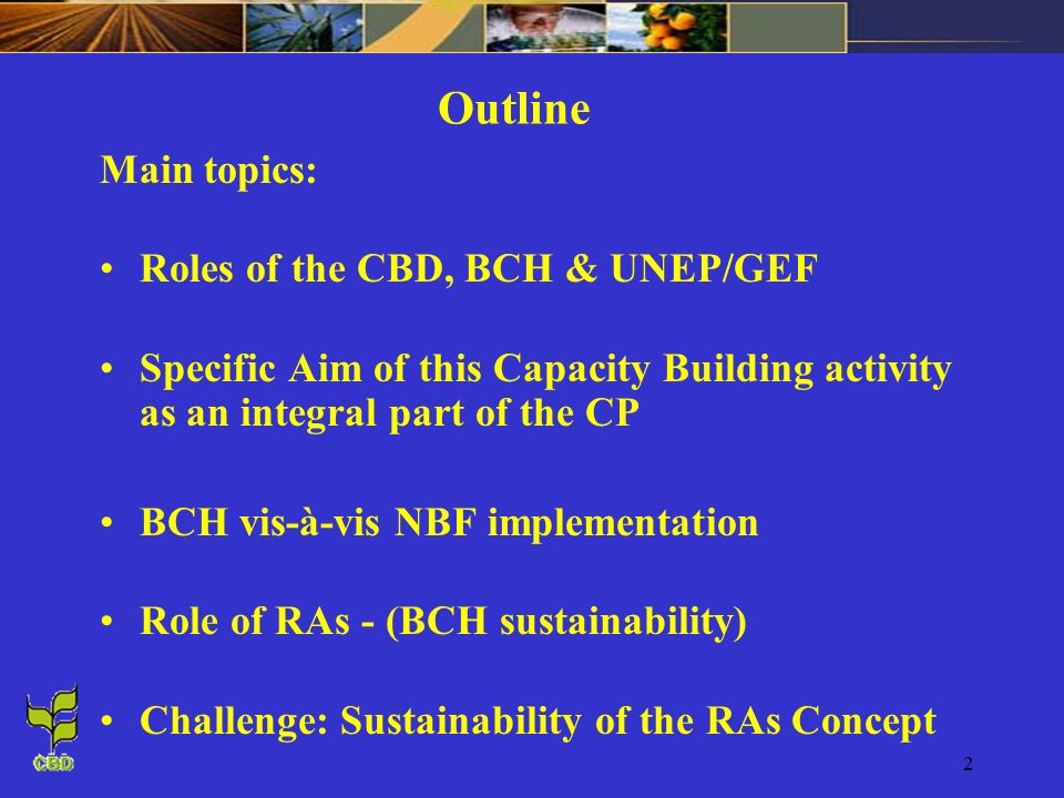 2 Outline Main topics: Roles of the CBD, BCH & UNEP/GEF Specific Aim of this Capacity Building activity as an integral part of the CP BCH vis-à-vis NBF implementation Role of RAs - (BCH sustainability) Challenge: Sustainability of the RAs Concept
