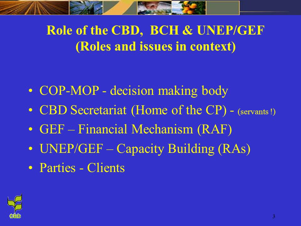 3 Role of the CBD, BCH & UNEP/GEF (Roles and issues in context) COP-MOP - decision making body CBD Secretariat (Home of the CP) - (servants !) GEF – Financial Mechanism (RAF) UNEP/GEF – Capacity Building (RAs) Parties - Clients