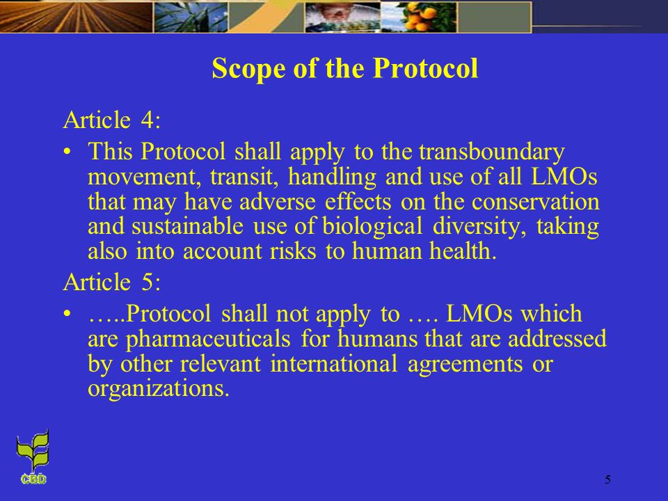 5 Scope of the Protocol Article 4: This Protocol shall apply to the transboundary movement, transit, handling and use of all LMOs that may have adverse effects on the conservation and sustainable use of biological diversity, taking also into account risks to human health.