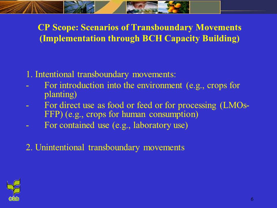 6 CP Scope: Scenarios of Transboundary Movements (Implementation through BCH Capacity Building) 1.