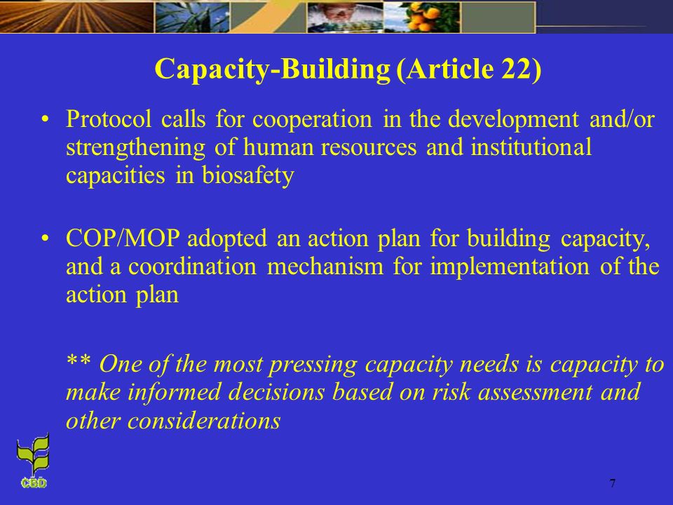7 Capacity-Building (Article 22) Protocol calls for cooperation in the development and/or strengthening of human resources and institutional capacities in biosafety COP/MOP adopted an action plan for building capacity, and a coordination mechanism for implementation of the action plan ** One of the most pressing capacity needs is capacity to make informed decisions based on risk assessment and other considerations
