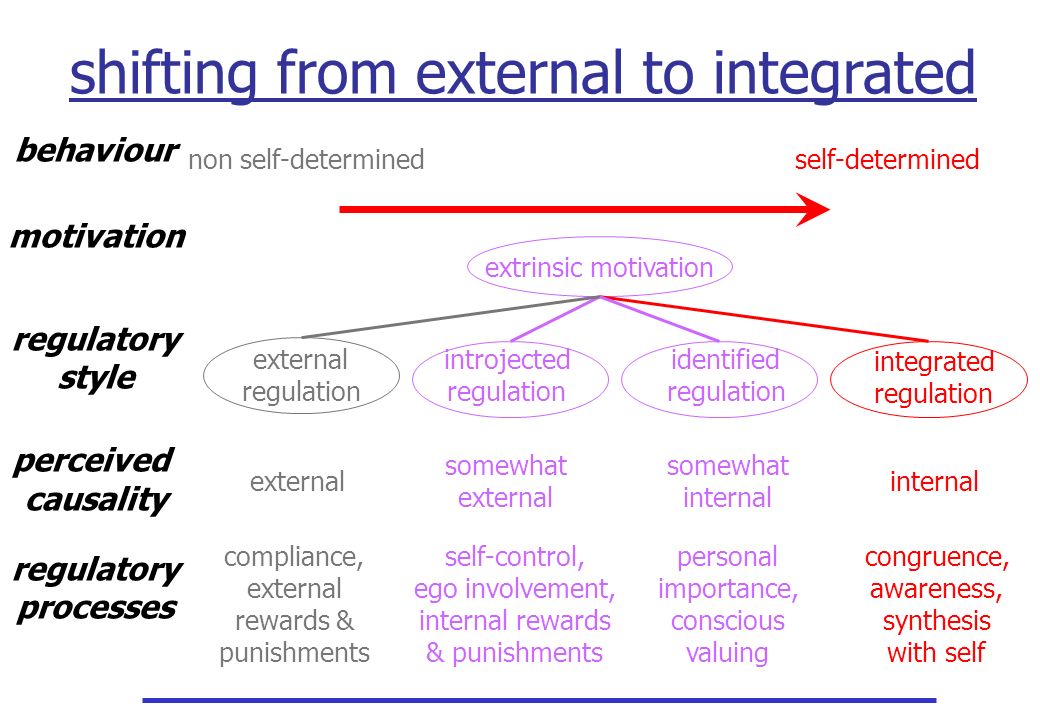 shifting from external to integrated behaviour motivation regulatory style perceived causality regulatory processes non self-determinedself-determined external somewhat external internal compliance, external rewards & punishments congruence, awareness, synthesis with self integrated regulation extrinsic motivation external regulation identified regulation introjected regulation somewhat internal self-control, ego involvement, internal rewards & punishments personal importance, conscious valuing
