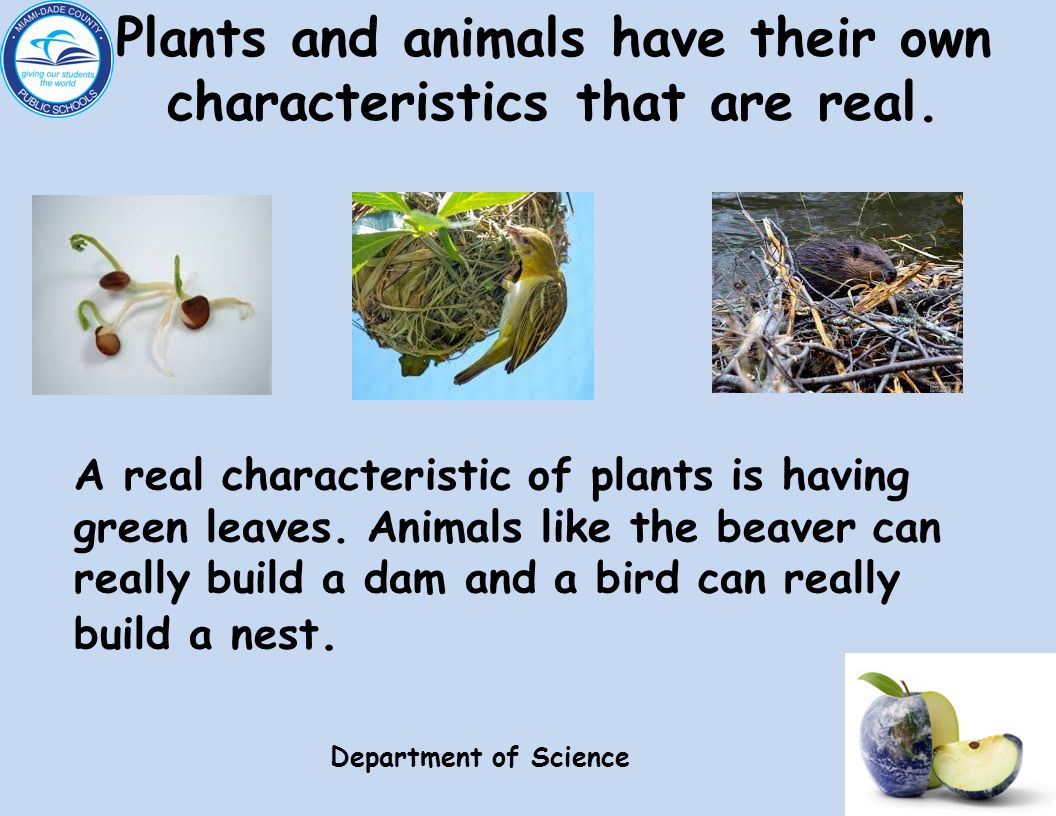 Plants and animals have their own characteristics that are real.