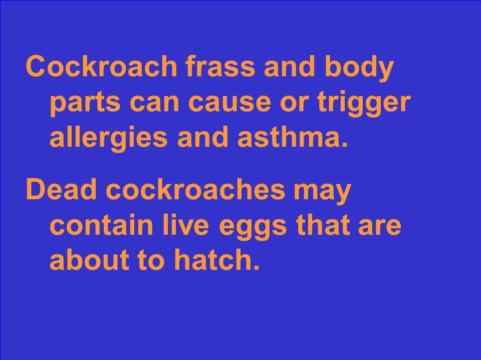 Why should you clean up cockroaches, body parts and frass