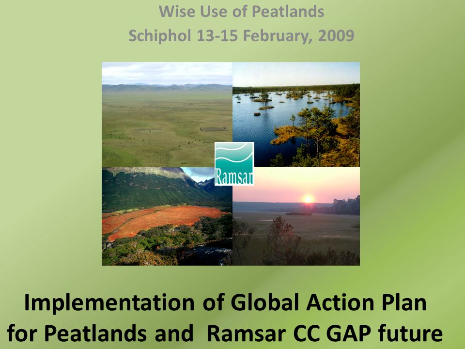 Implementation of Global Action Plan for Peatlands and Ramsar CC GAP future Wise Use of Peatlands Schiphol February, 2009