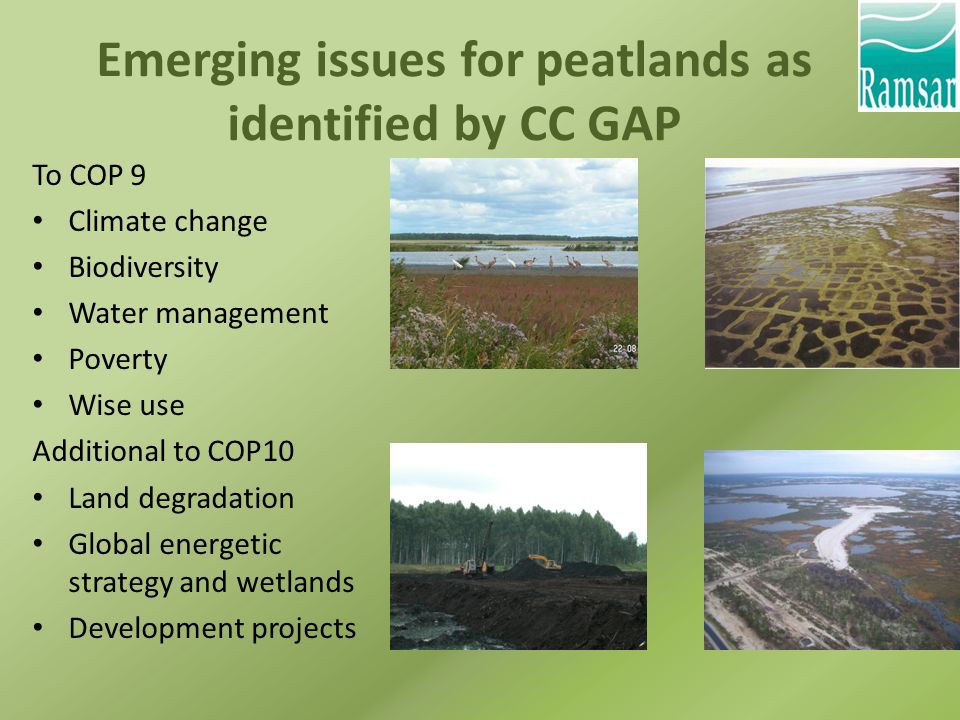 Emerging issues for peatlands as identified by CC GAP To COP 9 Climate change Biodiversity Water management Poverty Wise use Additional to COP10 Land degradation Global energetic strategy and wetlands Development projects