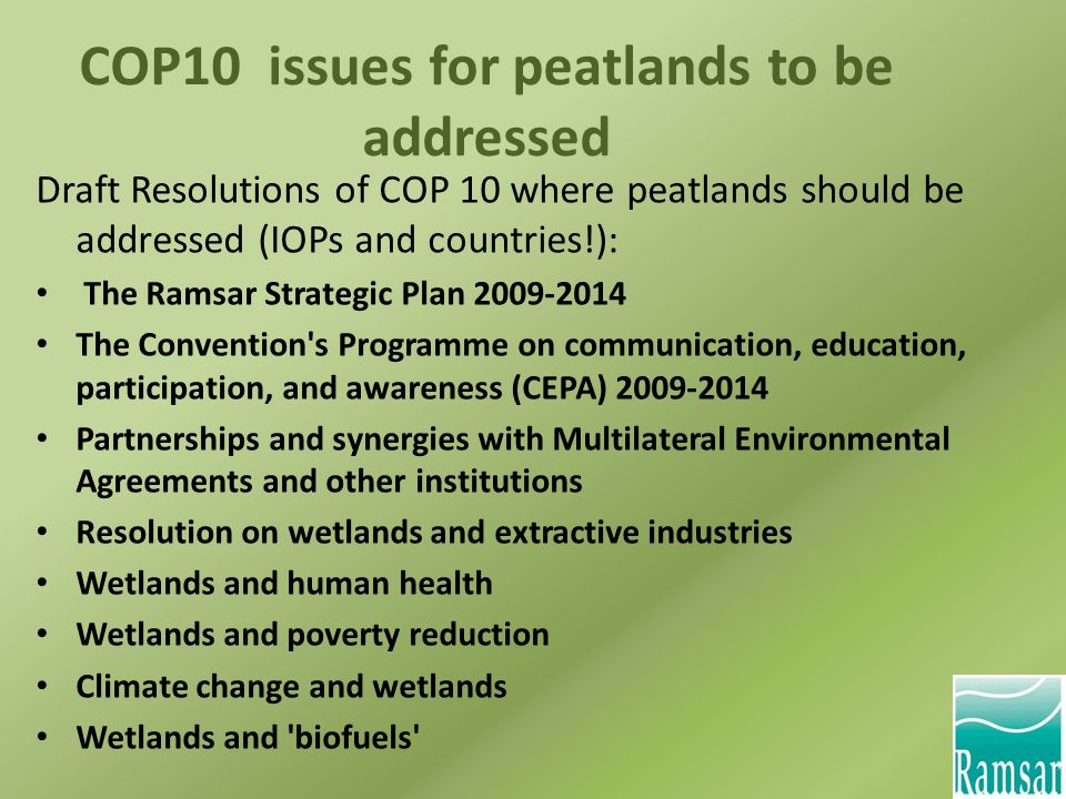 COP10 issues for peatlands to be addressed Draft Resolutions of COP 10 where peatlands should be addressed (IOPs and countries!): The Ramsar Strategic Plan The Convention s Programme on communication, education, participation, and awareness (CEPA) Partnerships and synergies with Multilateral Environmental Agreements and other institutions Resolution on wetlands and extractive industries Wetlands and human health Wetlands and poverty reduction Climate change and wetlands Wetlands and biofuels