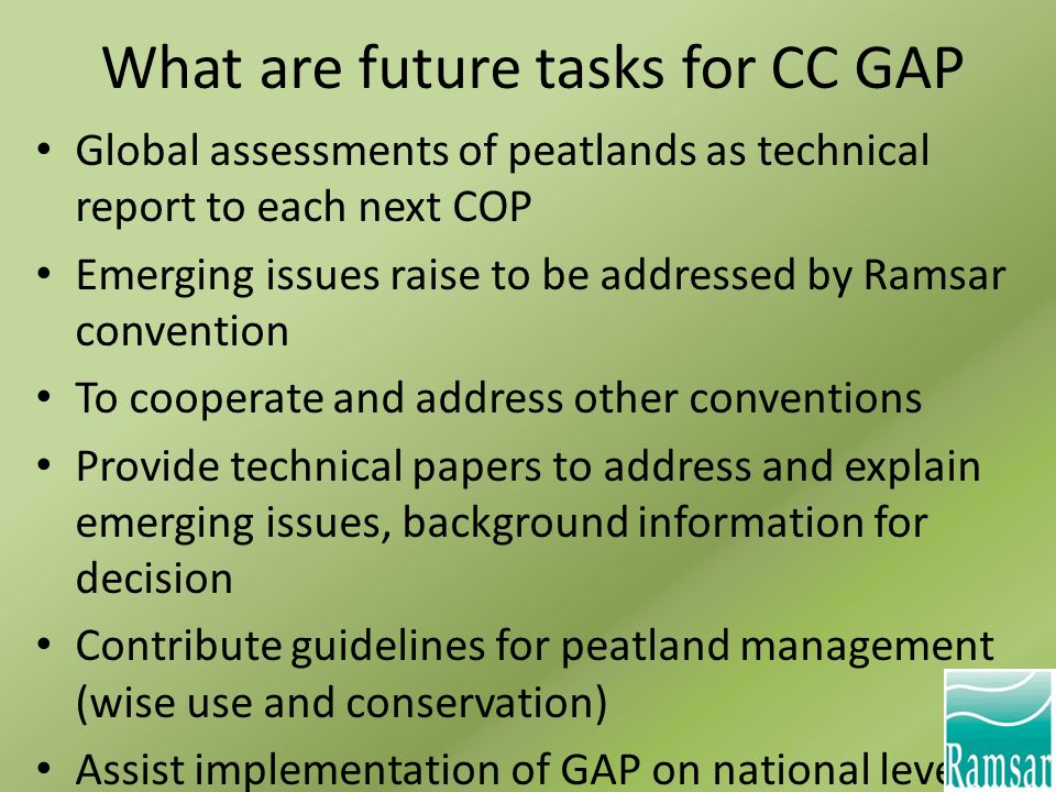 What are future tasks for CC GAP Global assessments of peatlands as technical report to each next COP Emerging issues raise to be addressed by Ramsar convention To cooperate and address other conventions Provide technical papers to address and explain emerging issues, background information for decision Contribute guidelines for peatland management (wise use and conservation) Assist implementation of GAP on national level