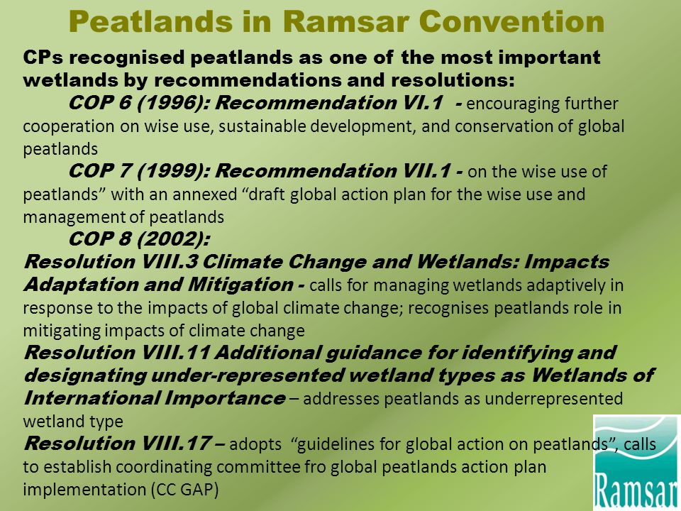 Peatlands in Ramsar Convention CPs recognised peatlands as one of the most important wetlands by recommendations and resolutions: COP 6 (1996): Recommendation VI.1 - encouraging further cooperation on wise use, sustainable development, and conservation of global peatlands COP 7 (1999): Recommendation VII.1 - on the wise use of peatlands with an annexed draft global action plan for the wise use and management of peatlands COP 8 (2002): Resolution VIII.3 Climate Change and Wetlands: Impacts Adaptation and Mitigation - calls for managing wetlands adaptively in response to the impacts of global climate change; recognises peatlands role in mitigating impacts of climate change Resolution VIII.11 Additional guidance for identifying and designating under-represented wetland types as Wetlands of International Importance – addresses peatlands as underrepresented wetland type Resolution VIII.17 – adopts guidelines for global action on peatlands , calls to establish coordinating committee fro global peatlands action plan implementation (CC GAP)