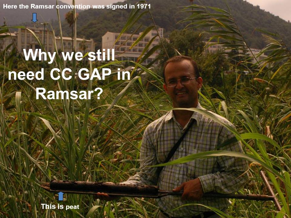 Here the Ramsar convention was signed in 1971 This is peat Why we still need CC GAP in Ramsar
