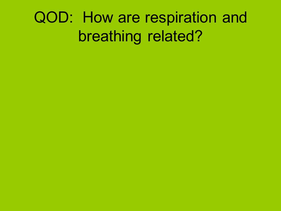 QOD: How are respiration and breathing related