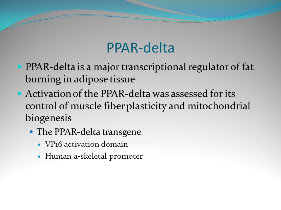 PPAR-delta PPAR-delta is a major transcriptional regulator of fat burning in adipose tissue Activation of the PPAR-delta was assessed for its control of muscle fiber plasticity and mitochondrial biogenesis The PPAR-delta transgene VP16 activation domain Human a-skeletal promoter