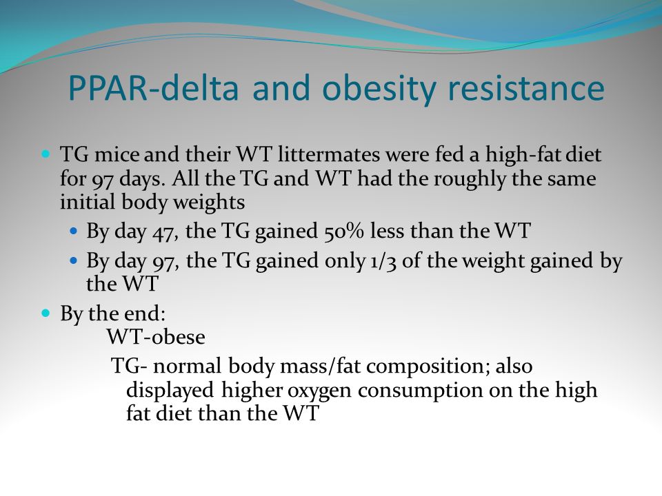 PPAR-delta and obesity resistance TG mice and their WT littermates were fed a high-fat diet for 97 days.