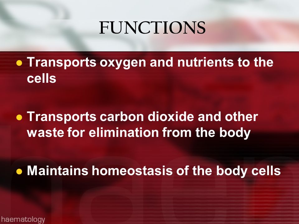 FUNCTIONS Transports oxygen and nutrients to the cells Transports carbon dioxide and other waste for elimination from the body Maintains homeostasis of the body cells
