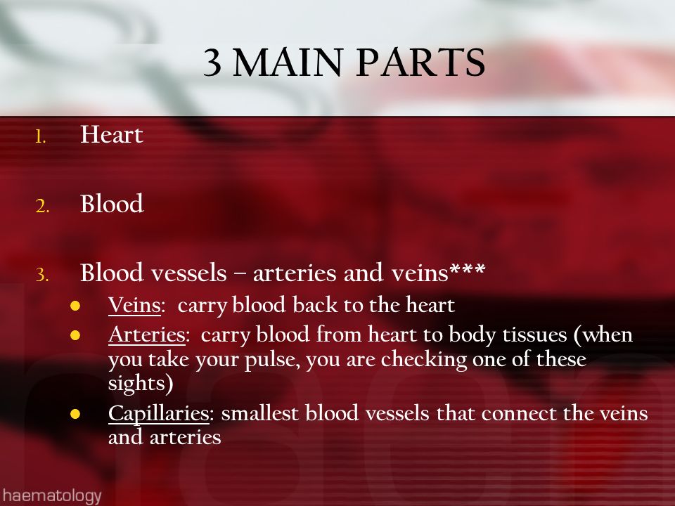 3 MAIN PARTS 1. Heart 2. Blood 3.