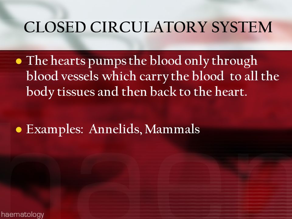 CLOSED CIRCULATORY SYSTEM The hearts pumps the blood only through blood vessels which carry the blood to all the body tissues and then back to the heart.