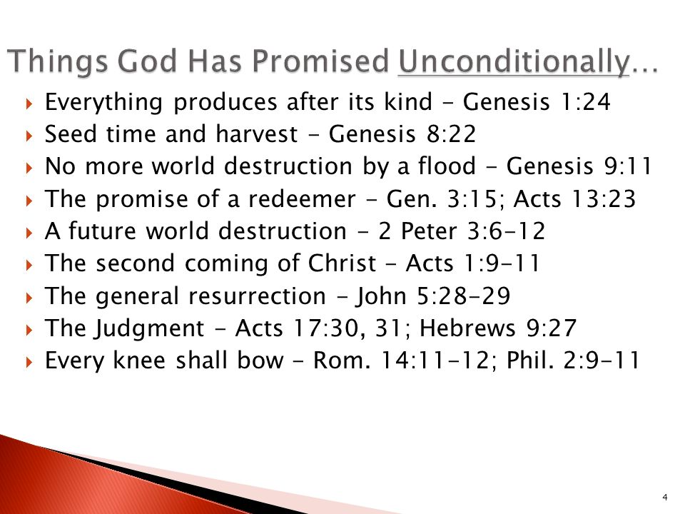  Everything produces after its kind - Genesis 1:24  Seed time and harvest - Genesis 8:22  No more world destruction by a flood - Genesis 9:11  The promise of a redeemer - Gen.