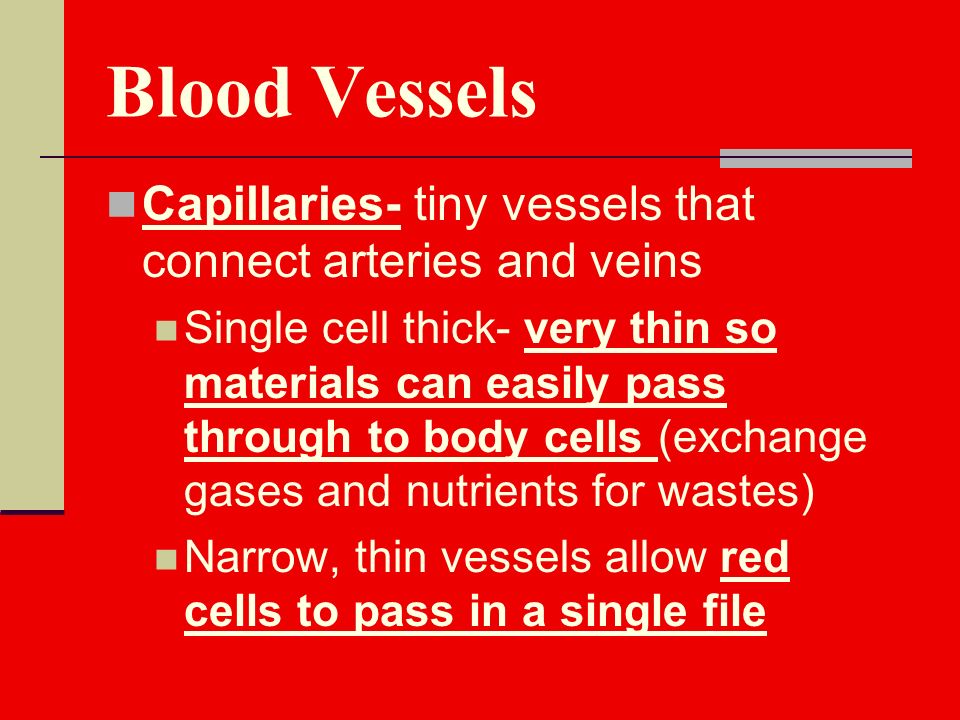 Blood Vessels Capillaries- tiny vessels that connect arteries and veins Single cell thick- very thin so materials can easily pass through to body cells (exchange gases and nutrients for wastes) Narrow, thin vessels allow red cells to pass in a single file